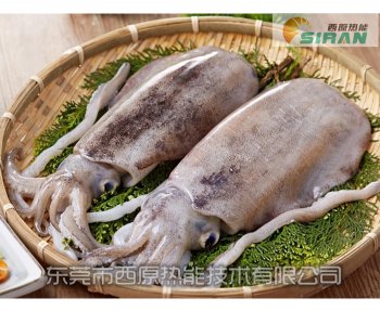 墨鱼烘干机