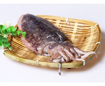 墨鱼烘干机